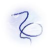 KEYNEUT TIHU (Occlusion Balloon Catheter)