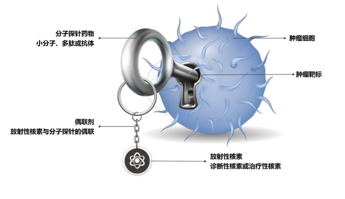 2121非凡体育官方网站医药核药伙伴Telix全球创新RDC产品TLX101海外I期研究完成全部患者入组